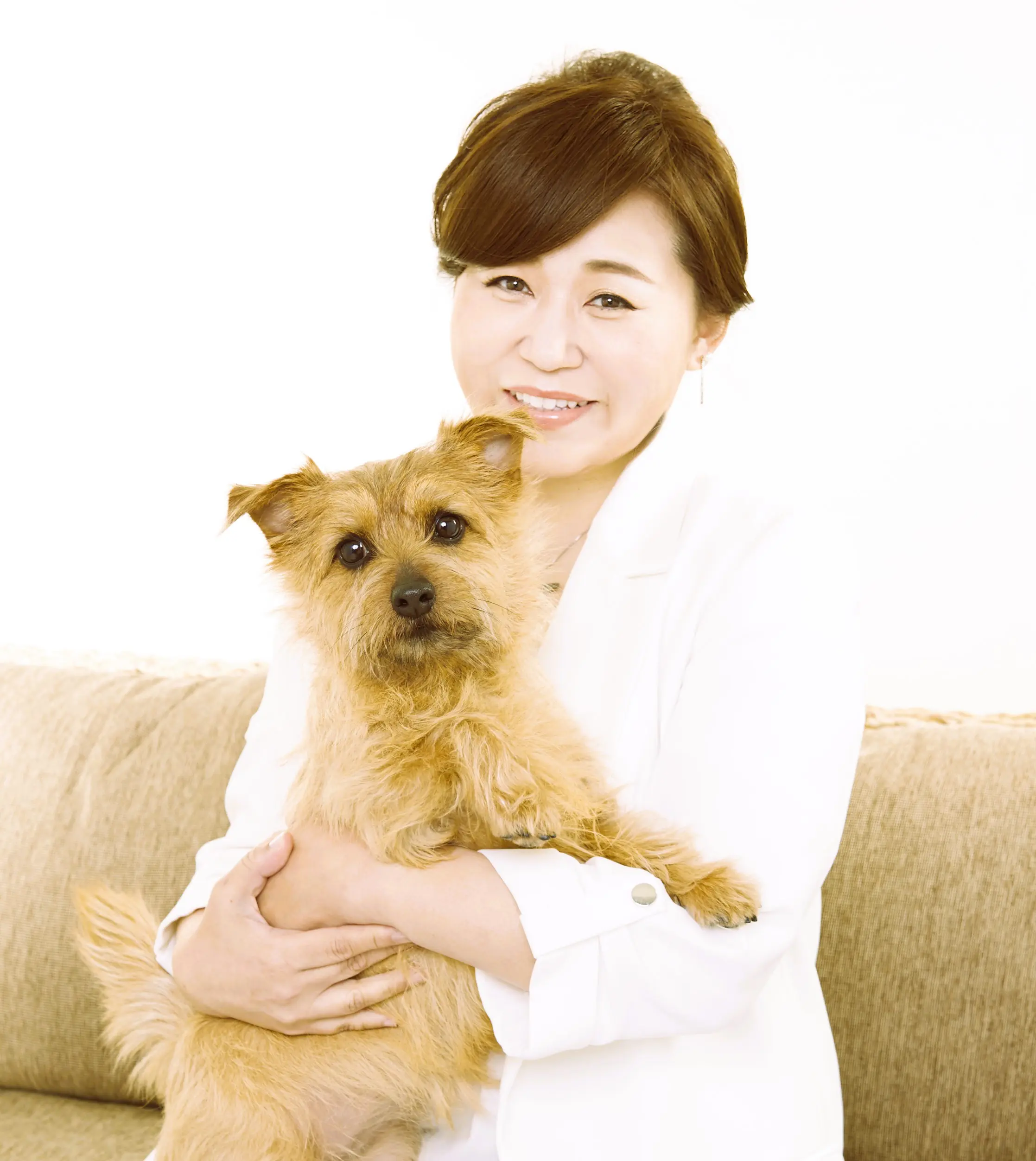 ダルメシアンの性格は？特徴やしつけの方法、注意点を解説！ – 大型犬