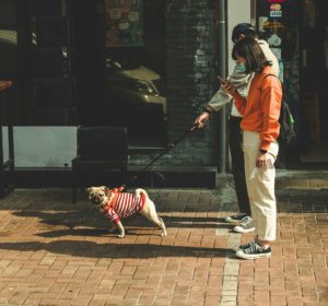 男性と女性が犬の散歩をしている