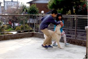 屋外で男の子と女の子と遊ぶ白い大型犬