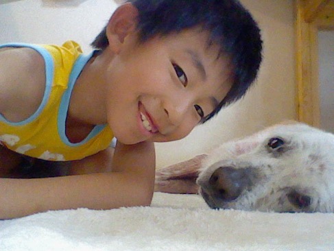 寝そべっている年老いた大型犬と微笑んでいる男の子のツーショット