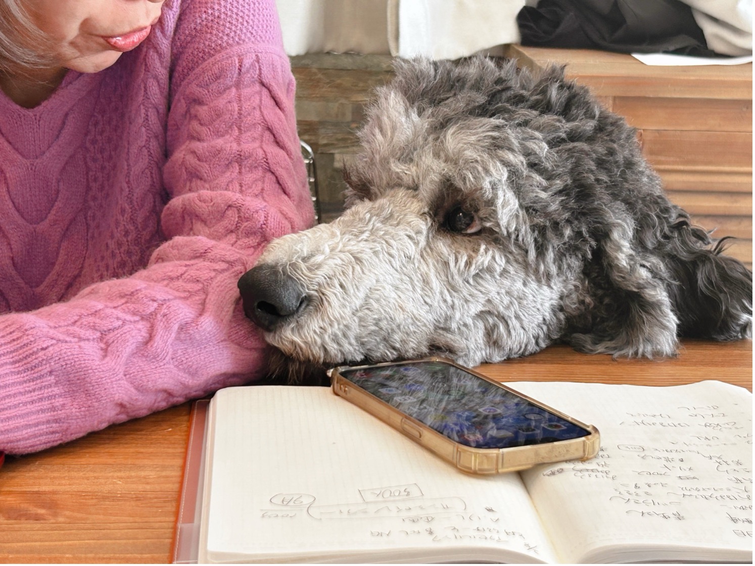 犬に話しかける女性と机の前にいる大型犬