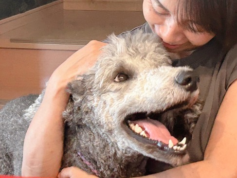 大型犬と抱き締める女性