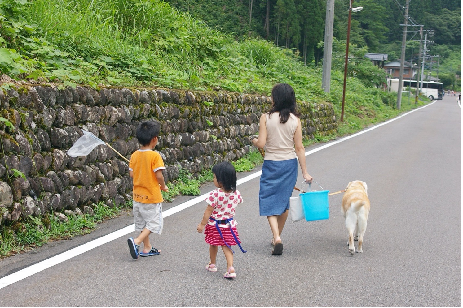女性と大型犬と幼稚園くらいの小さな子供二人が散歩をしている後ろ姿