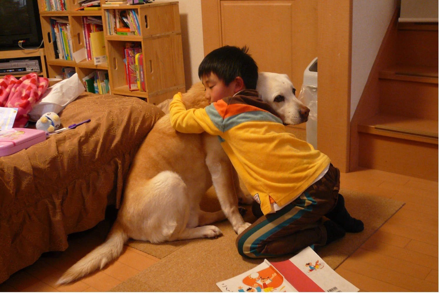 家の中で大型犬に抱きついている男の子