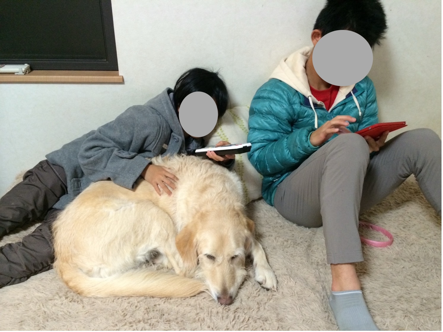 丸まって寝そべっている大型犬と二人の中学生くらいの子供がくつろいでいる