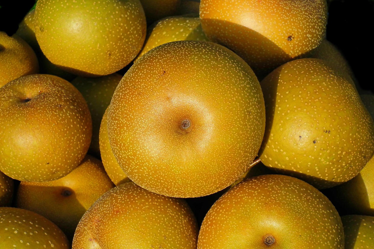 陽の光を浴びている大きな梨