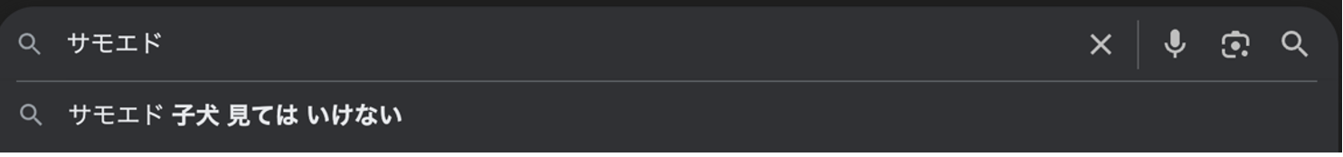 サモエドと検索する画面