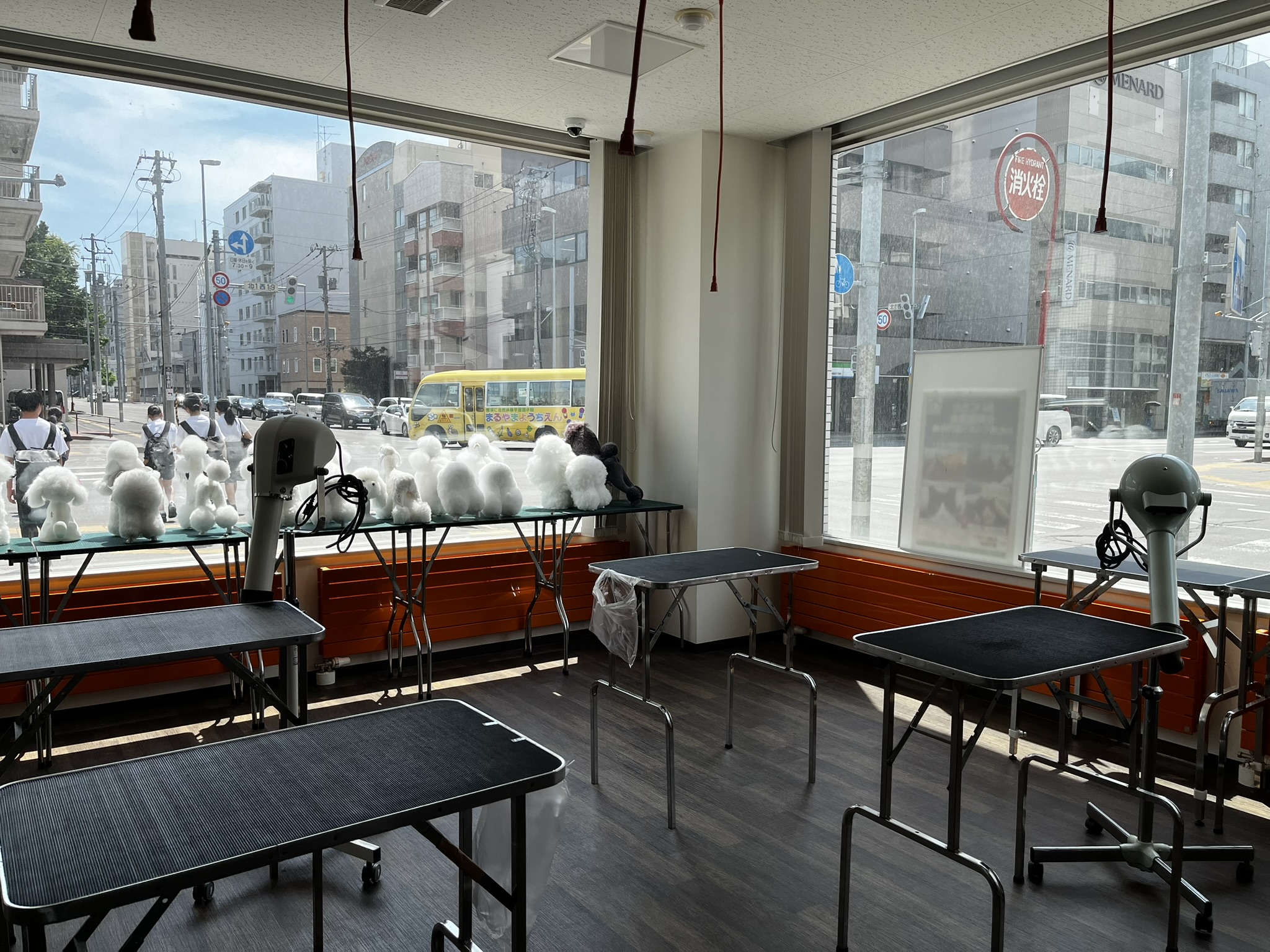 トリミング台の置かれた教室