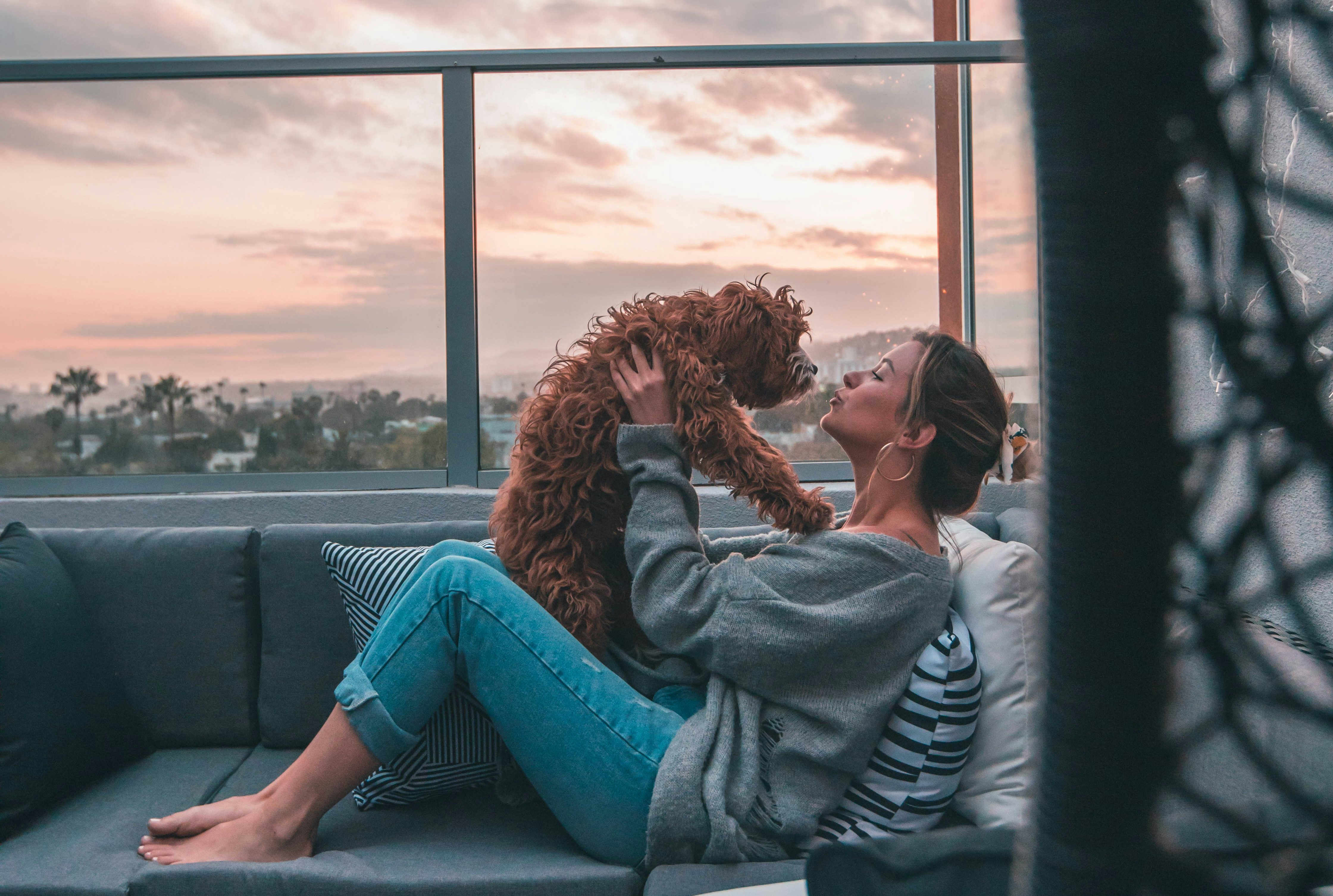 デニムをはいた女性が茶色いプードルを抱き上げている