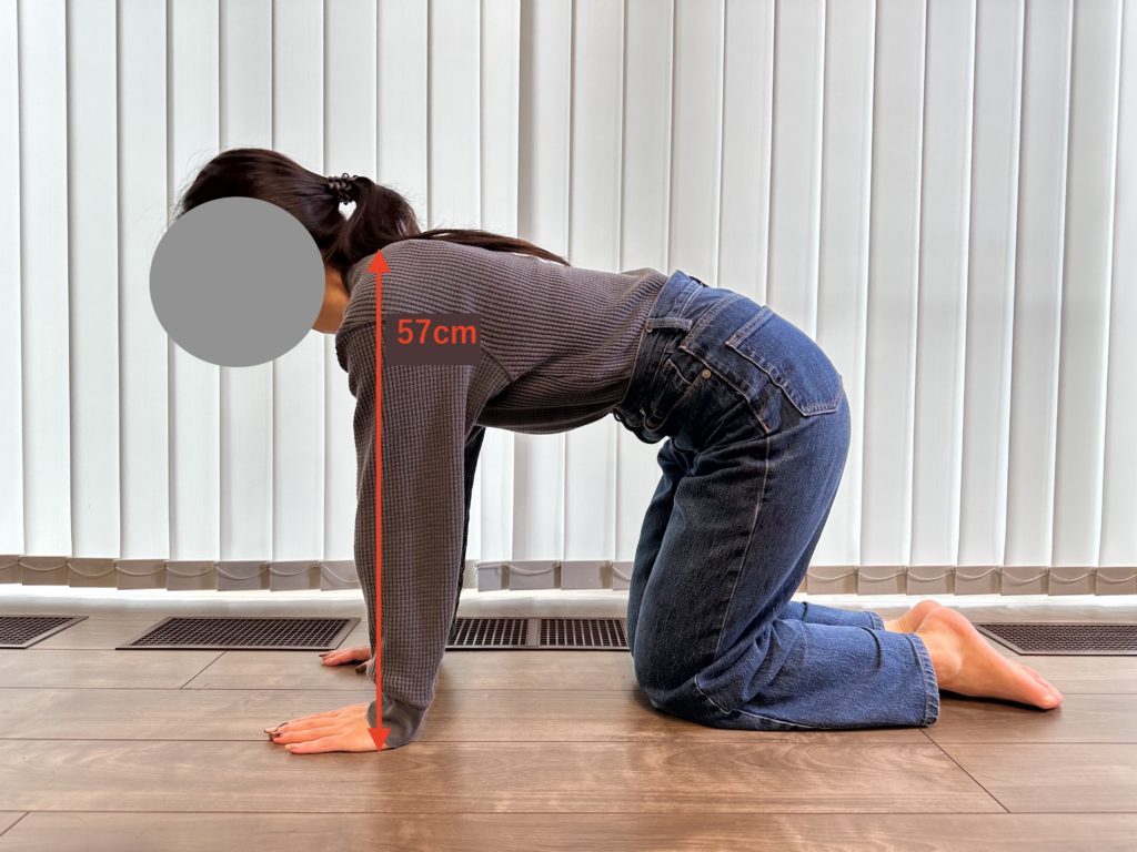 著者が四つん這いになり自身の体高を調べている。