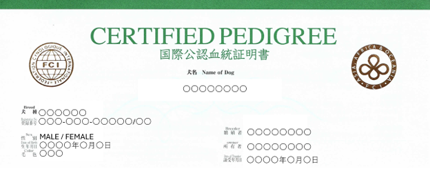国際公認血統証明書の画像