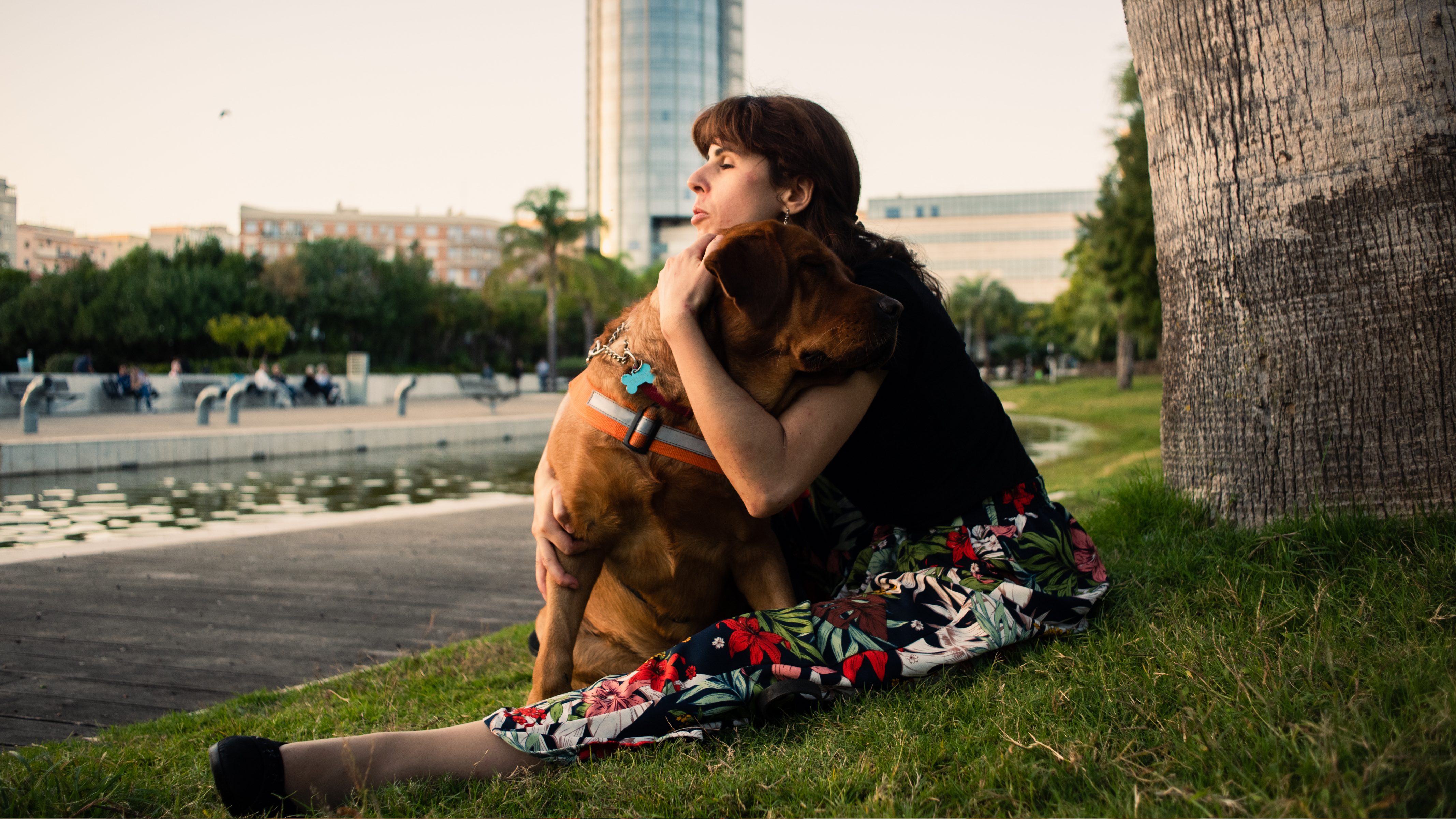 盲目の外人の女性が自分の盲導犬を木陰で抱きしめている