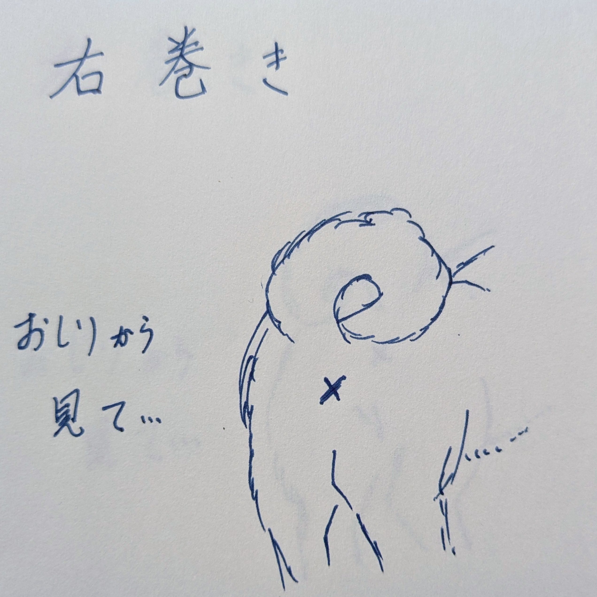 右巻きのしっぽを解説したイラスト