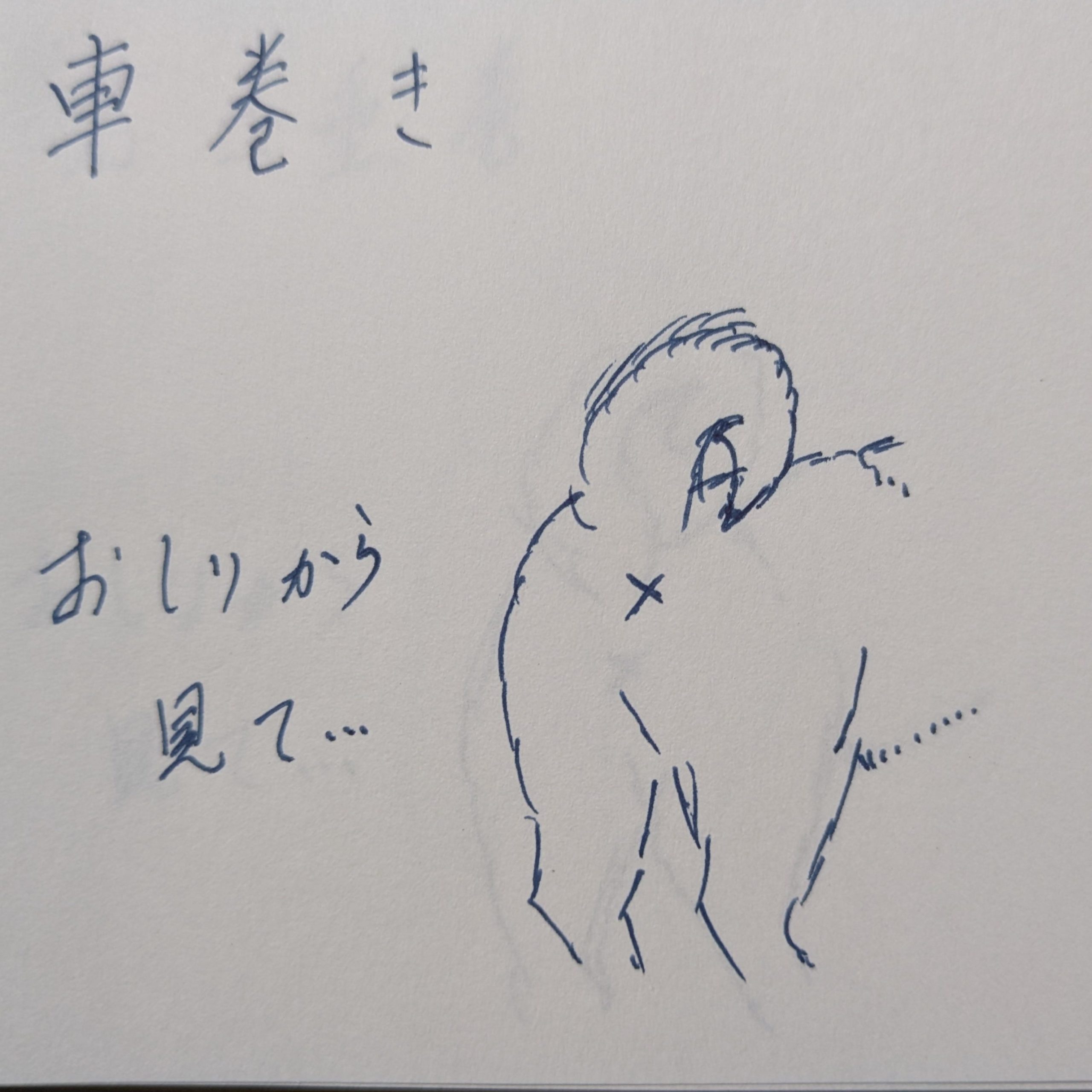 車巻きのしっぽを解説したイラスト